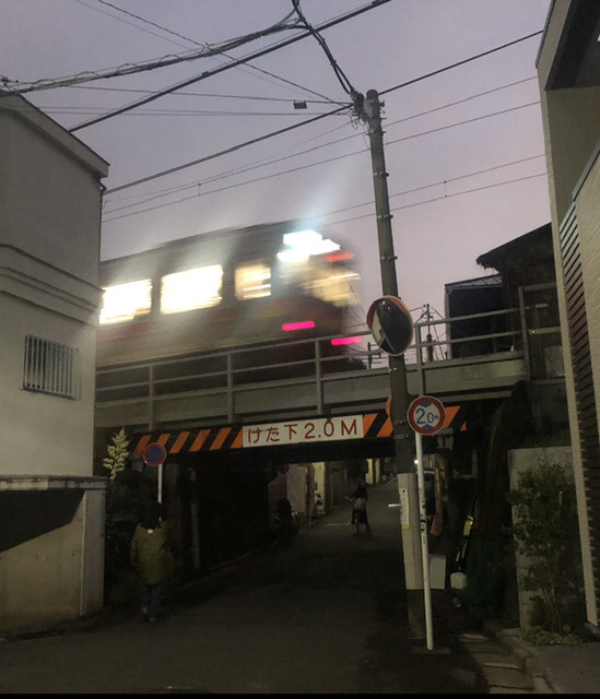 4E4BAB5B-05EB-46CA-B77F-ACEF79EAD456.jpeg