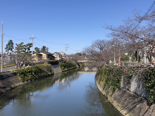 9621F1D2-AF82-4EAE-98B5-A118EFEF930C.jpeg