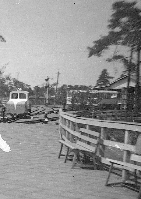 秋の遠足~昭和35年10月11日: 新Cedarの今昔写真日記 秋の遠足~昭和35年10月11日: 新Cedarの今昔写真日記