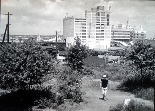 銀座二十四帖』の〈非銀座〉シーン: 新Cedarの今昔写真日記