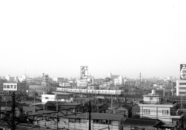 41年前の夏・日暮里界隈: 新Cedarの今昔写真日記